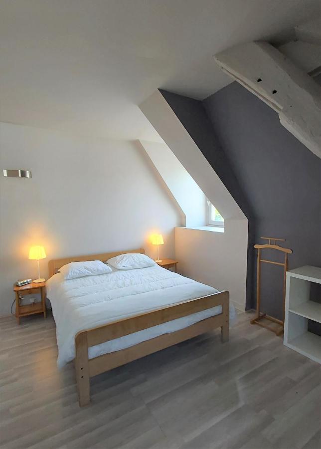 Duplex Quartier Cathedrale Parking Prive Leilighet Tours Eksteriør bilde